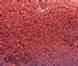 Flower Color-Maple Red 1/2 oz