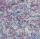 Flower Color-Wisteria 1/2 oz