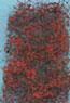 Vine- Autumn Rusty Red