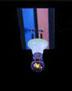 Plug In Ceiling Fixture