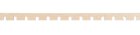 (image for) Dental Molding Large