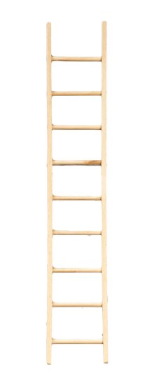 (image for) 10in Ladder