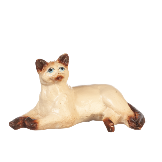 (image for) Laying Siamese Cat