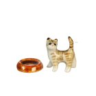 (image for) Brown Tiger Kitten w/ Bowl