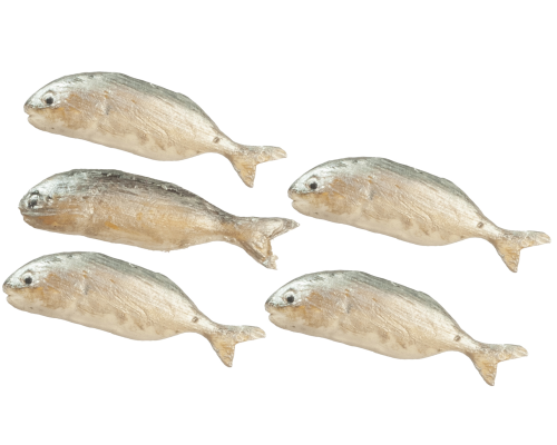 (image for) Pompano Jack Fish 5pc