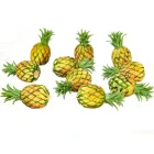 (image for) Pineapple 10pc