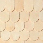 (image for) Fishscale Shingles, 100/Pk