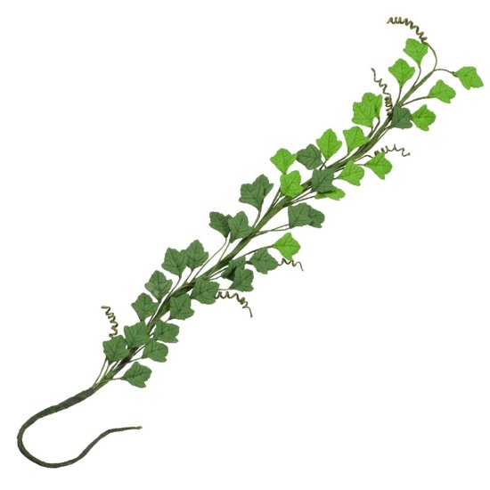 (image for) Green Ivy Vine