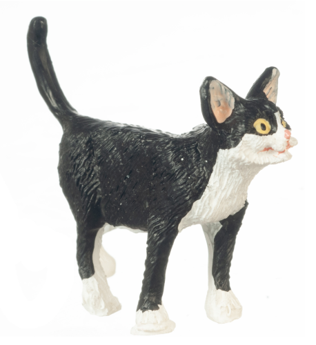 (image for) Black & White Tuxedo Cat Looking