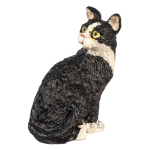 (image for) Black & White Cat Looking Back