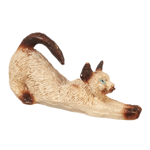 (image for) Siamese Cat Stretching