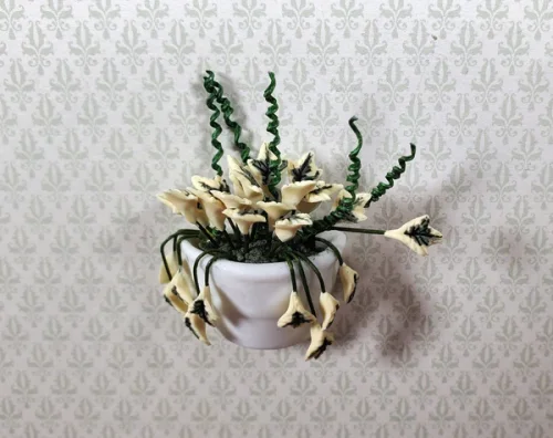 (image for) Variegated English Ivy in White Ceramic Wall Planter