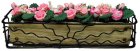 (image for) Pink/White Roses in Sunrise Iron
