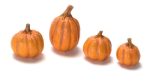 (image for) Pumpkins 4pc