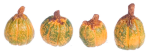 (image for) Small Pumpkin 4pc