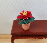 (image for) Small Poinsettia Plant in a Terra Cotta Pot