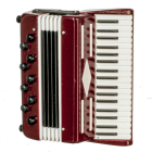 (image for) Accordian W/Case