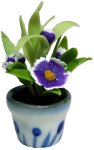 (image for) Twisted Sister Purple Plant in a Terra Cotta Pot