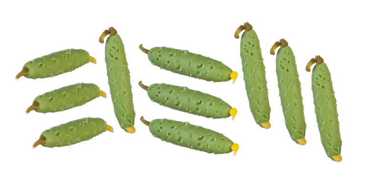 (image for) Cucumbers 10pc
