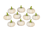 (image for) White Fall Squash 10pc