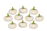 (image for) White Fall Squash 10pc