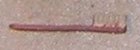 (image for) Tooth Brush, Pink