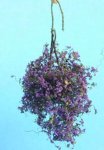 (image for) Dollhouse Hanging Baskets