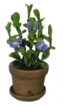 (image for) Dollhouse Flowers