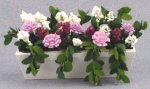 (image for) Window Boxes & Planters