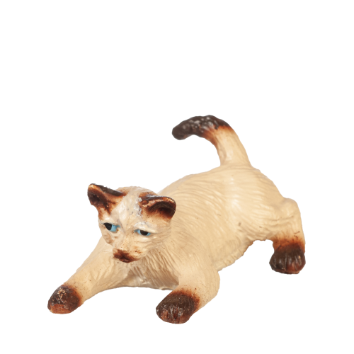 (image for) Siamese Cat-Playing