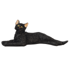 (image for) Stretched Cat-Black