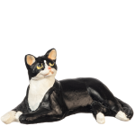 (image for) Black & White Tuxedo Cat Laying
