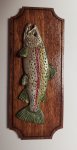 (image for) Mounted Trout