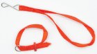 (image for) Dog Leash and Collar 2pc Set - Red