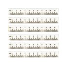 (image for) School Ruler White 6pc