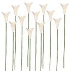 (image for) 1dz White Wildflower Stems
