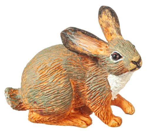 (image for) Wild Rabbit