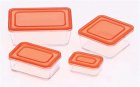 (image for) Disposable Plastic Food Container Set 4pc w/ Lids