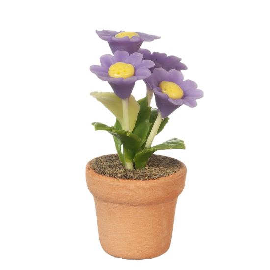 (image for) Potted Purple Flowers