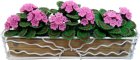 Pink Geraniums In Sunrise Iron Long Planter (image for) Pink Geraniums In Sunrise Iron Long Planter