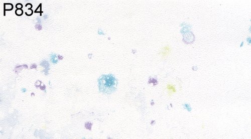 (image for) Pre-pasted Wallpaper S/3
