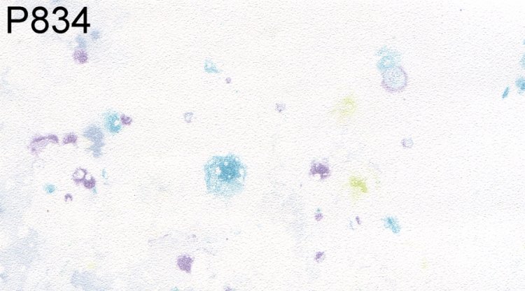 (image for) Pre-pasted Wallpaper S/3