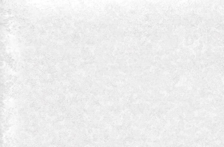 (image for) Pre-pasted Wallpaper S/3