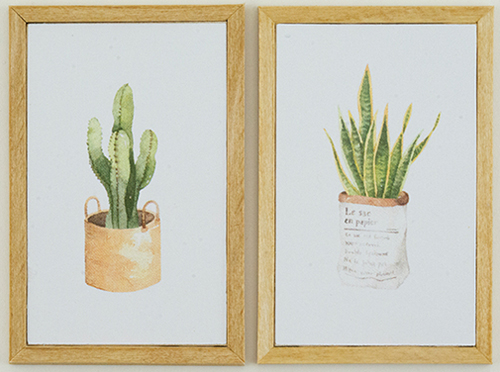 Potted Succulent Framed Picture Set 2pc