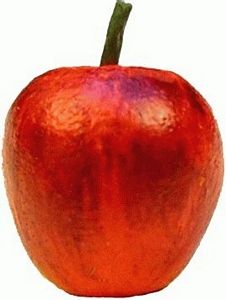 Apples 12pc