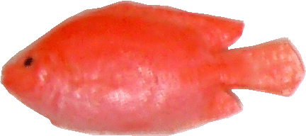Fish - Red Snapper