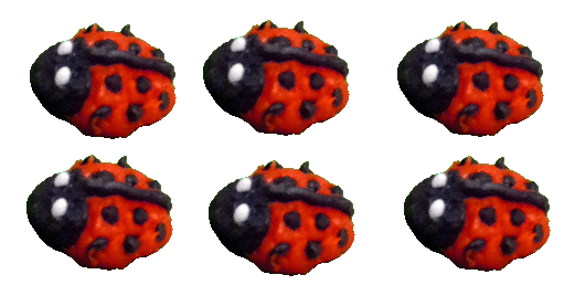(image for) Tiny Ladybugs 6pc