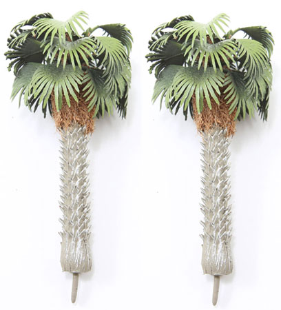 Mediterranean Fan Palm Trees 2pc