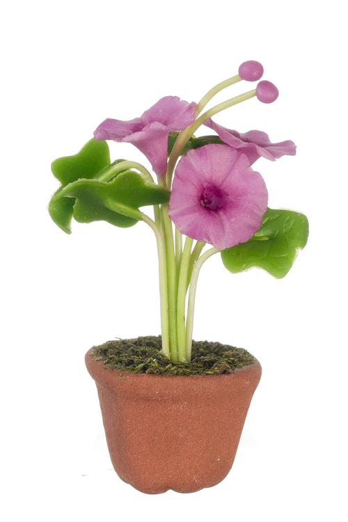 Potted Morning Glory Fuchsia Mary's Dollhouse Miniature Accessories