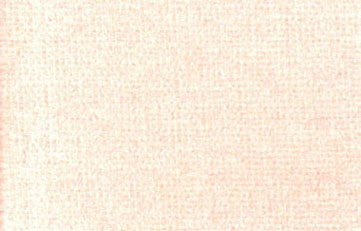 (image for) Carpet Peach 14 x 20